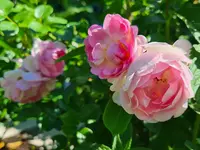 20230602_220811.jpg 20230602_220811.jpg