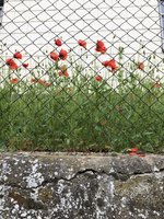 46011A65-D16C-4A2D-A2A7-B040CE0FBE50.jpeg