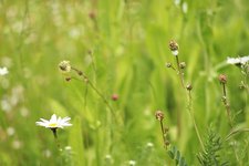 image004.jpg