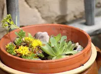 image007.webp