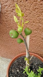 IMG_20180401_132232299.jpg