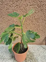 IMG_20230603_075804 (1).webp