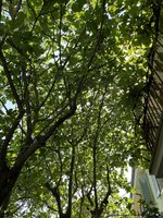 IMG_7941.jpeg