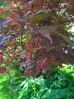 IMG_20230603_135725.jpg