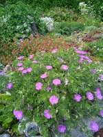 IMG_20230603_140031.jpg