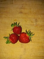 20230604_075425.jpg