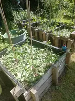 IMG_20230601_111518.webp