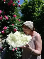 IMG_20230602_125348.webp