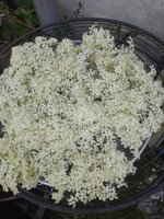 IMG_20230602_125716.jpg