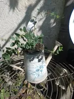 IMG_20230603_162108.webp