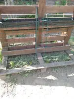 IMG_20230603_162357.webp