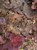 IMG_20230604_083509.webp IMG_20230604_083509.webp