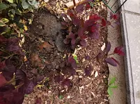 IMG_20230604_083558.webp IMG_20230604_083558.webp