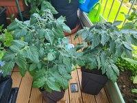 20230604_104228.jpg