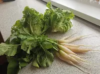 IMG_20230603_102751.webp