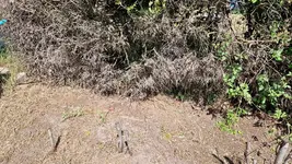 IMG-20230604-WA0008.webp