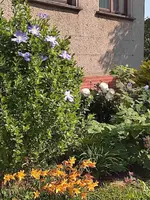 1685889776101.webp