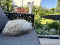 IMG_9047.jpeg