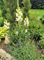 IMG_20230604_083047.webp