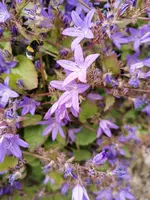 IMG_20230604_092943.webp