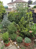 IMG_20230604_083756.webp