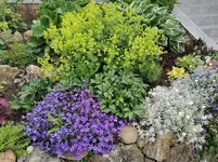 IMG_20230602_174101.webp