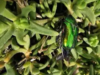 IMG_20230604_092853.webp