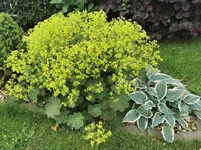 IMG_20230604_083120.webp