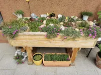 IMG_20230605_104704.webp