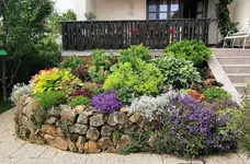 IMG_20230605_104755.webp