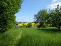 P1010196Übersicht.JPG