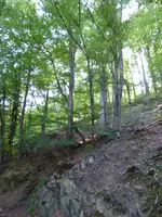 P1010574.webp