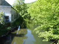 P1010587Wupper.webp