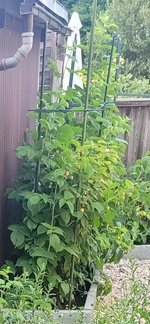 20230605_185434.jpg