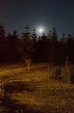 IMG-20230605-WA0026.webp