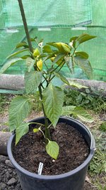 IMG_6104.jpeg