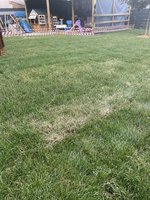 409F3AE0-D044-44D9-B86E-A62397CBBC75.jpeg