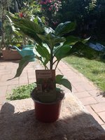IMG_20230605_103139.jpg