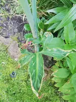 IMG_20230606_065731.webp