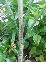IMG_20230606_065754.webp