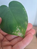 20230606_081649.jpg