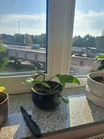 20230606_081716.webp