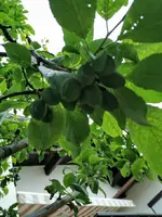 IMG_20230605_125627.webp