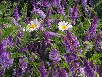 IMG_20230606_094454.webp