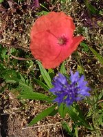 IMG_20230606_094522.jpg