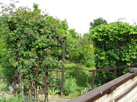 IMG_7818.JPG