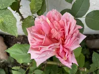 1D6E7566-8978-41DB-8CEC-DC0DCE0420D0.webp