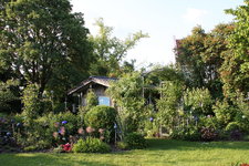 Juni     0223.JPG