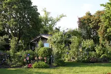 Juni     0223.webp