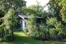 Juni     0323.webp